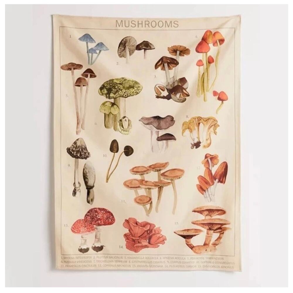 URBAN OUTFITTERS Canvas Tapestry Mushroom Illustrations wall hanging boho decor